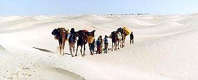 Caravanne