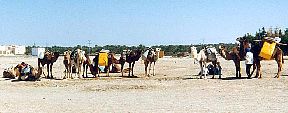 Caravanne pr�te au d�part