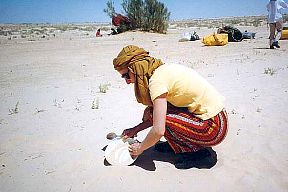 Vaisselle
